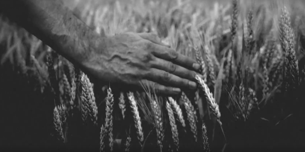 Giving Your Footage an Authentic Vintage Look in Premiere Pro