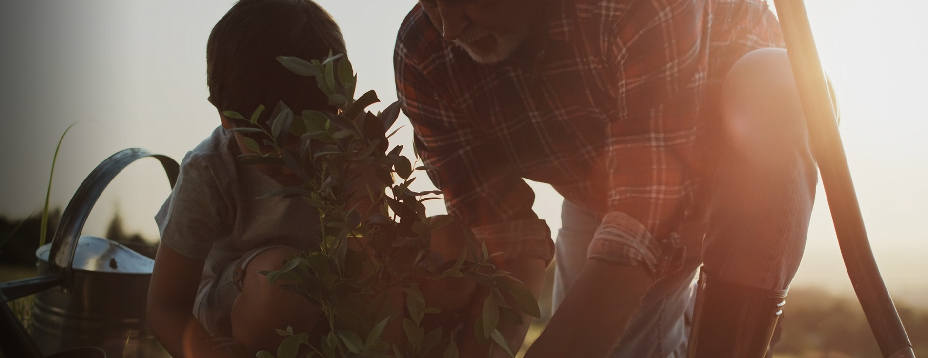 Learn about lens flare