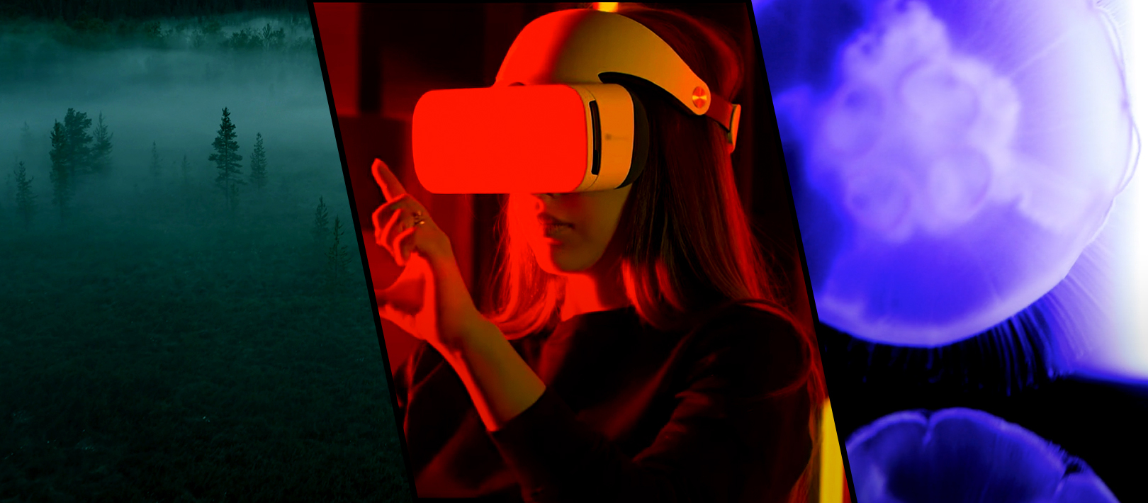 Here Are the Winners of the Artlist & Artgrid Edit Challenge